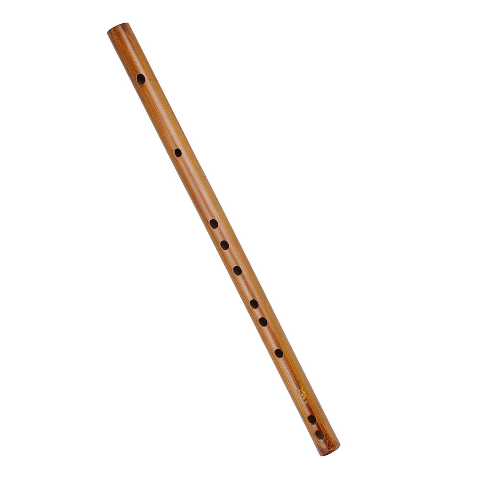 ของขวัญวันเกิดที่ไม่ซ้ำกัน,อิน - Musical Instrument Theremin บทวิจารณ์และราคา