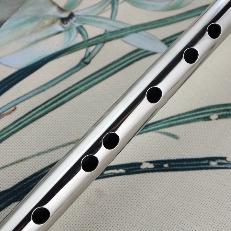 ฟลุตสแตนเลสระดับมืออาชีพ ฟลุตข - Musical Instrument Fife บทวิจารณ์และราคา